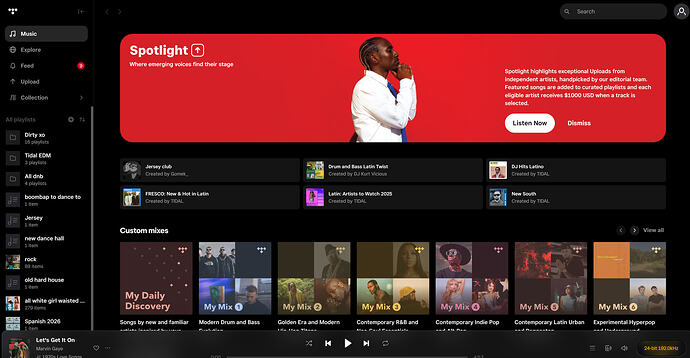 4 dj for my tidal.PNG